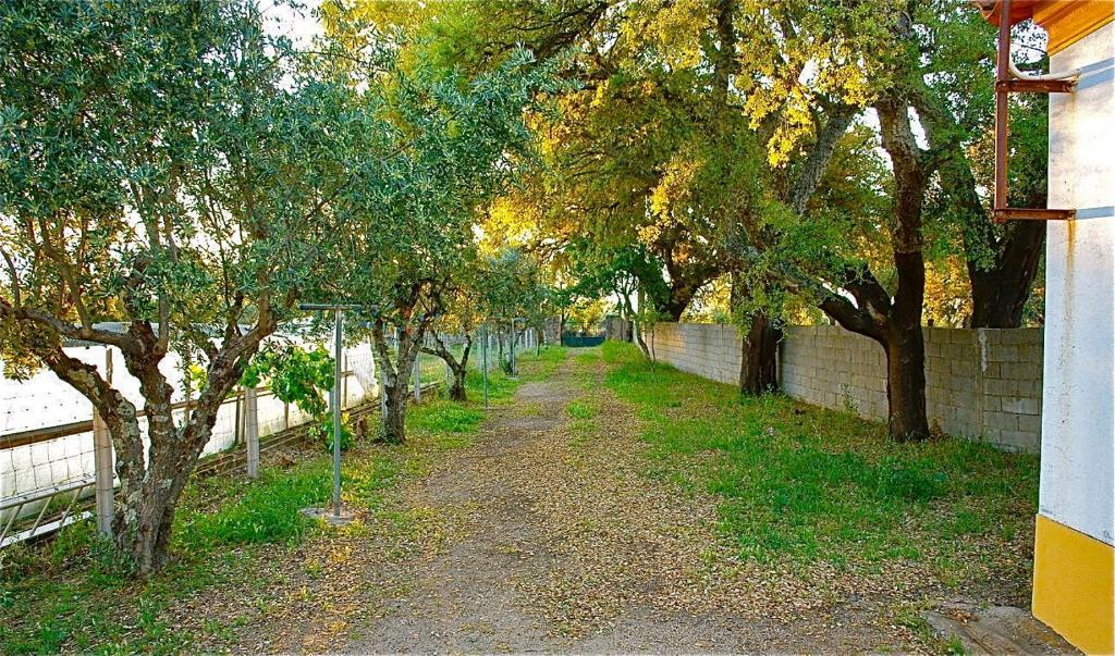 Quinta Da Bela Vista Apartman Póvoa e Meadas Szoba fotó