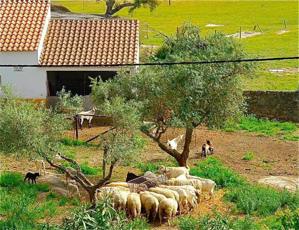 Quinta Da Bela Vista Apartman Póvoa e Meadas Kültér fotó